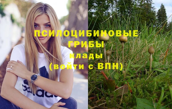 дистиллят марихуана Елизово