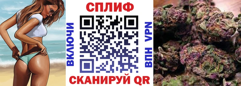 Каннабис гибрид  Цивильск 